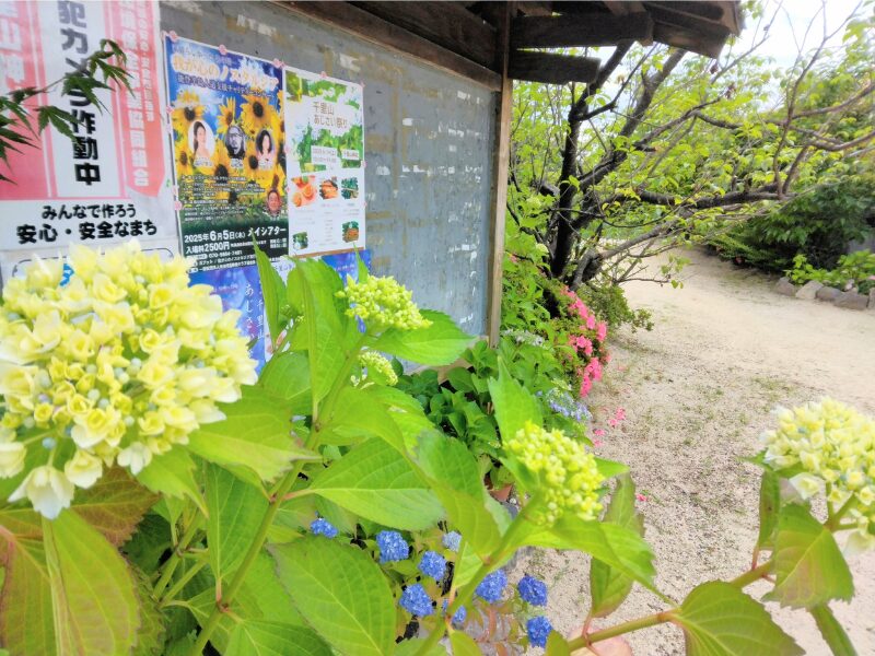 千里山神社の掲示板