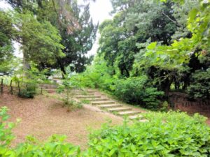 服部緑地公園のあじさい園へとつながる階段