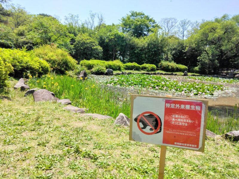 服部緑地公園のヌートリアに関する看板