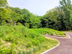 服部緑地公園のあじさい園
