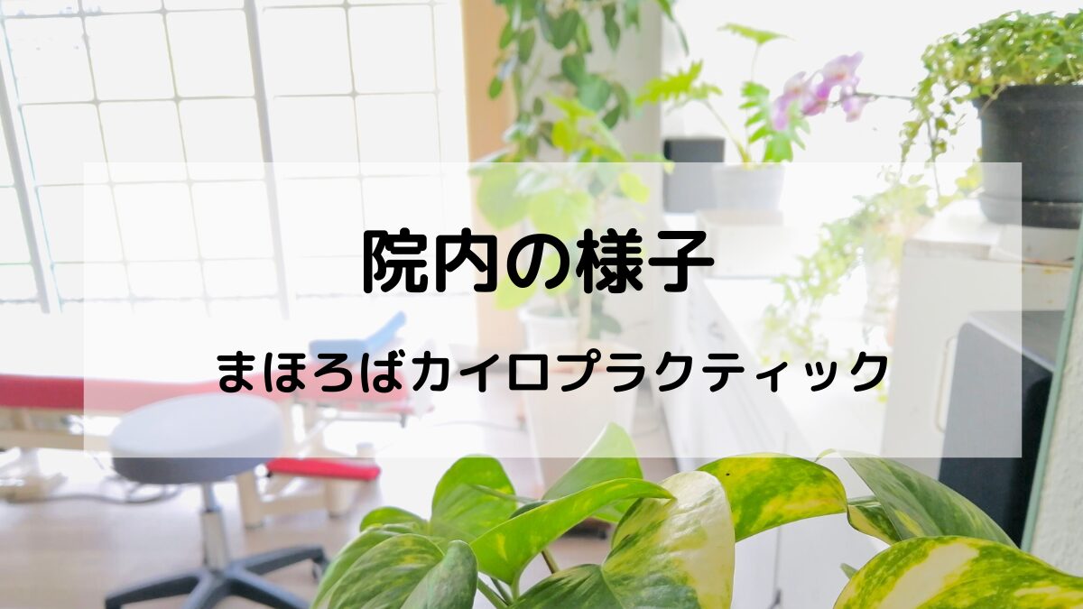 「院内の様子｜緑地公園駅徒歩2分の整体・まほろばカイロプラクティック