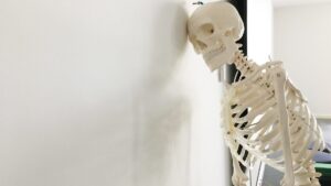 骨模型が壁に寄りかかっている写真