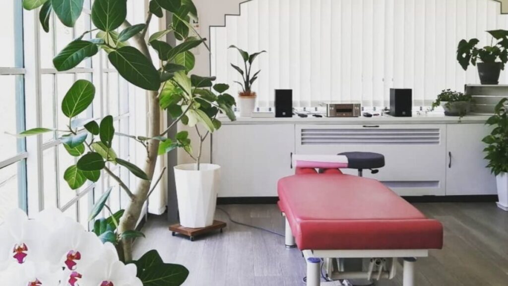 緑地公園駅すぐの整体、まほろばカイロプラクティックの赤いベッド